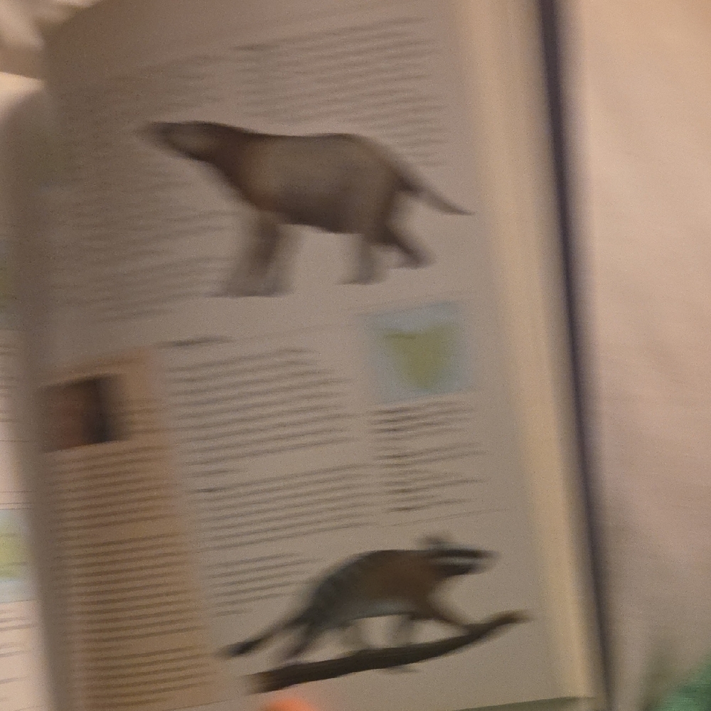 The World Encyclopedia of Dinosaurs & Prehistoric Creatures Book - Picture 13 of 16